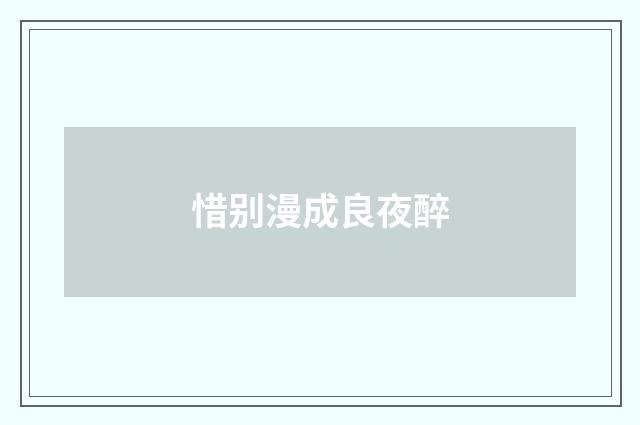 惜别漫成良夜醉