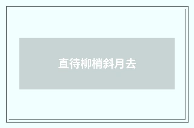 直待柳梢斜月去