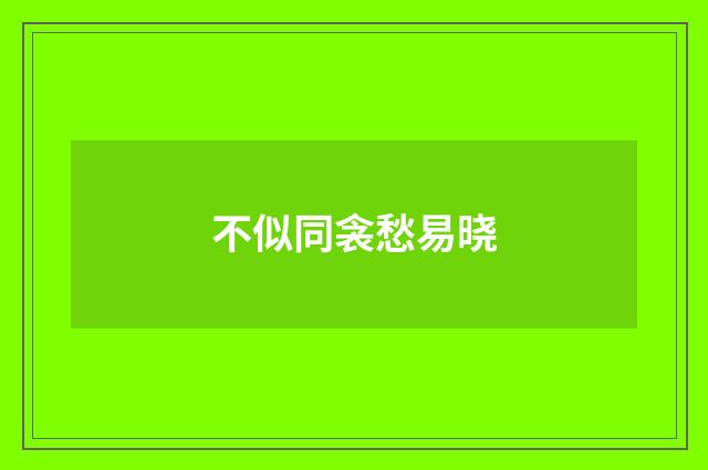 不似同衾愁易晓