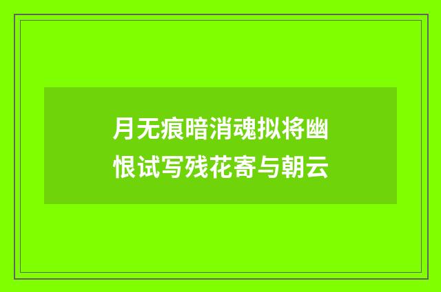 月无痕暗消魂拟将幽恨试写残花寄与朝云