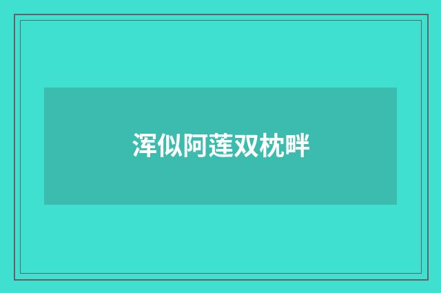 浑似阿莲双枕畔