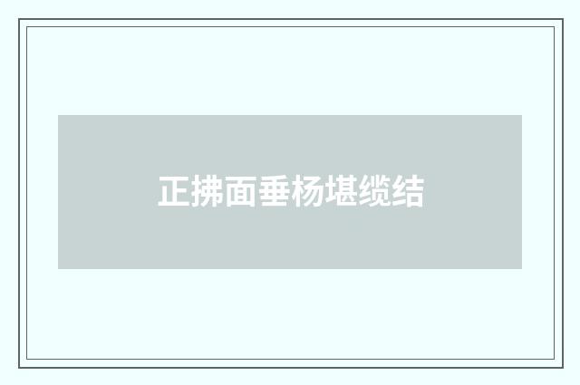 正拂面垂杨堪缆结