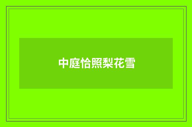 中庭恰照梨花雪