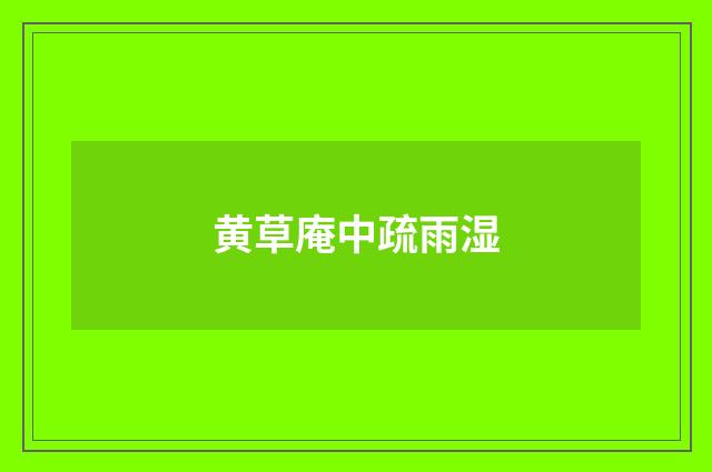 黄草庵中疏雨湿