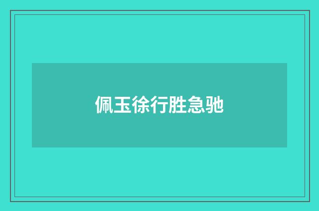 佩玉徐行胜急驰