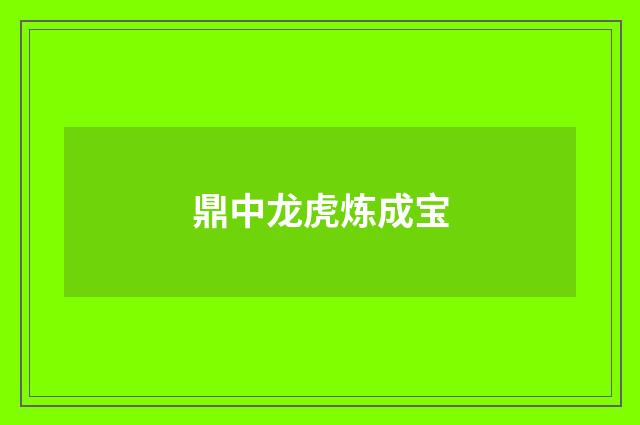 鼎中龙虎炼成宝