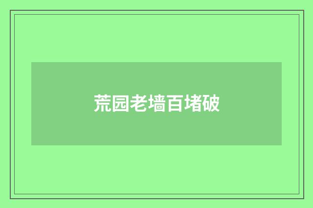 荒园老墙百堵破