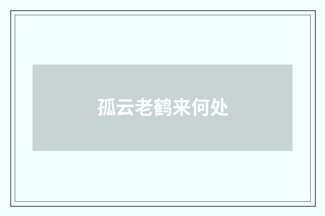孤云老鹤来何处