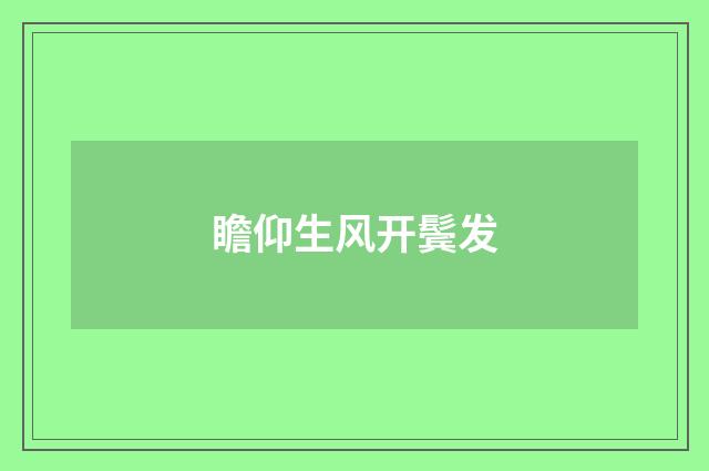瞻仰生风开鬓发