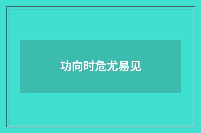 功向时危尤易见