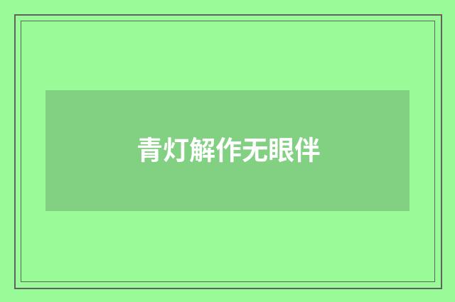 青灯解作无眼伴