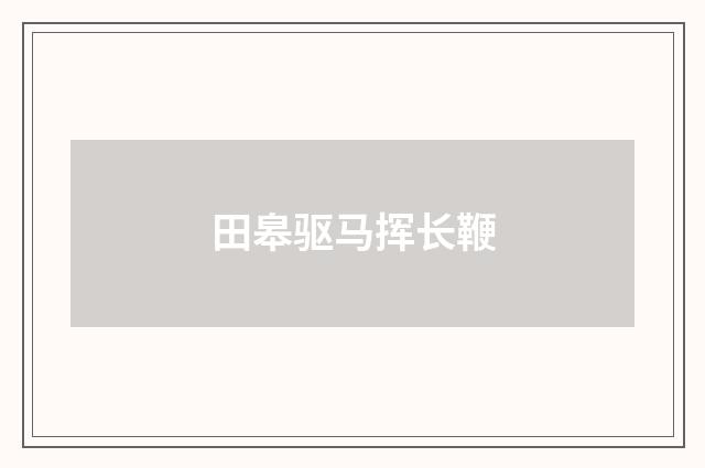 田皋驱马挥长鞭