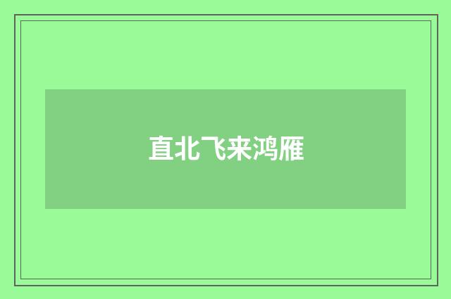 直北飞来鸿雁