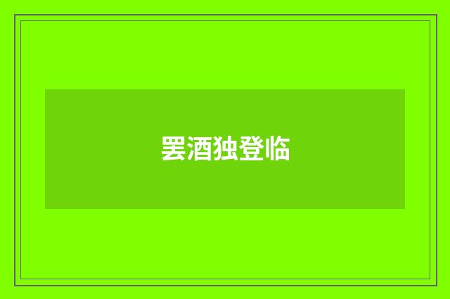 罢酒独登临