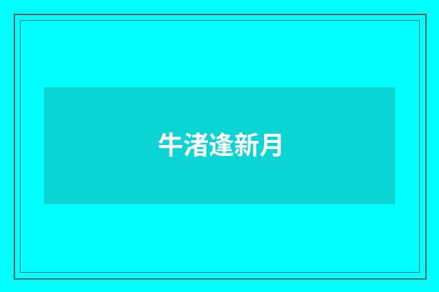 牛渚逢新月