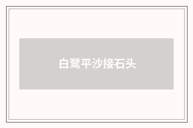 白鹭平沙接石头