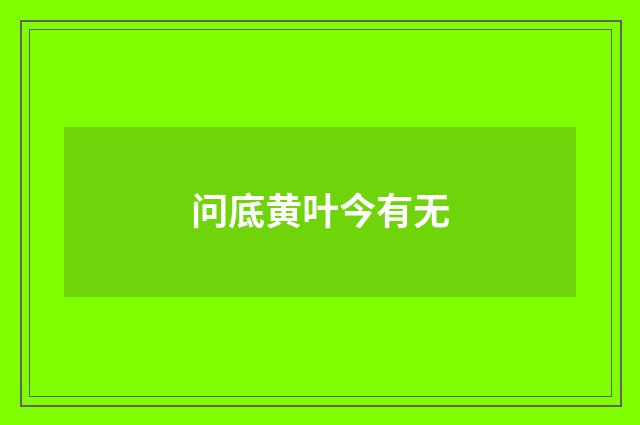 问底黄叶今有无