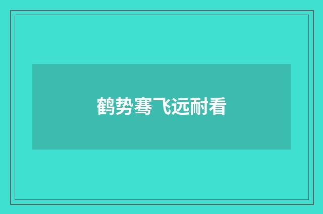 鹤势骞飞远耐看