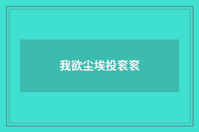我欲尘埃投衮衮