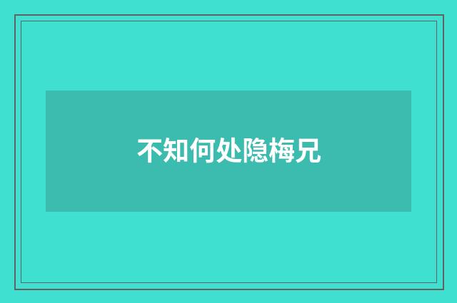 不知何处隐梅兄