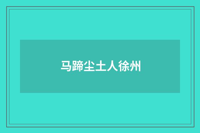 马蹄尘土人徐州