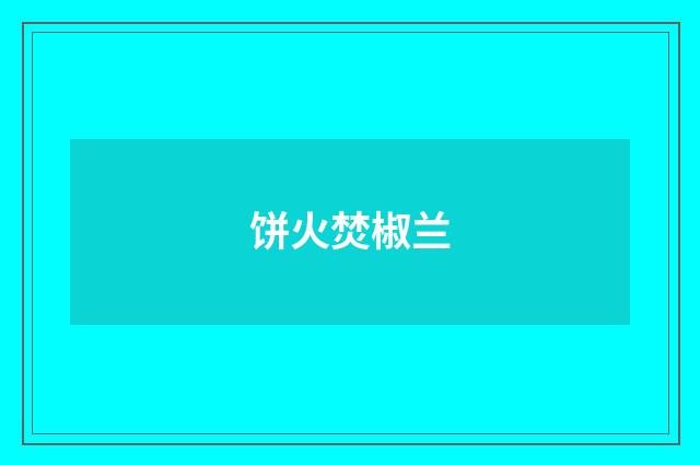 饼火焚椒兰