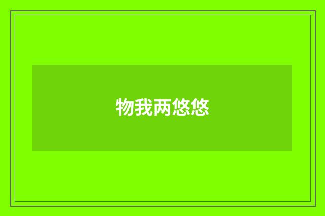 物我两悠悠