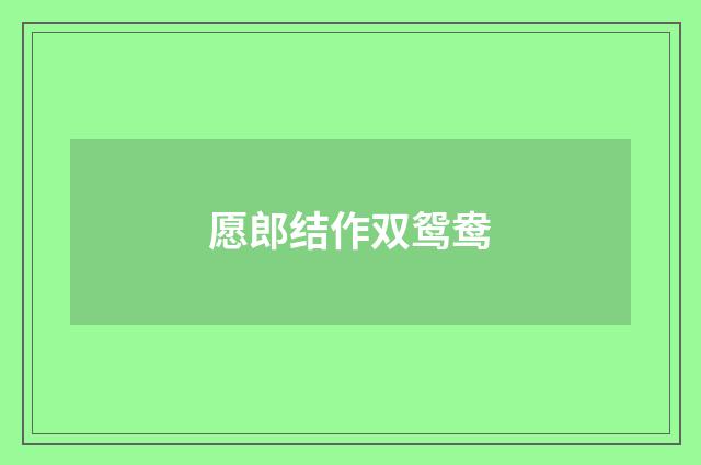 愿郎结作双鸳鸯