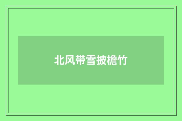 北风带雪披檐竹