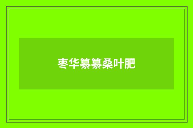 枣华纂纂桑叶肥