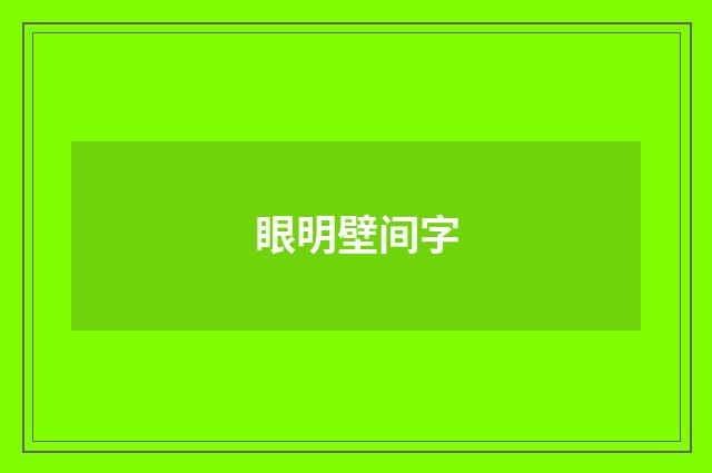 眼明壁间字
