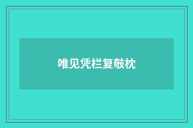 唯见凭栏复攲枕