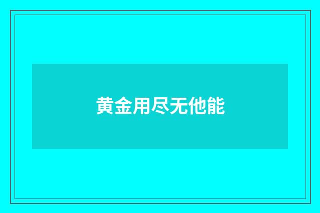 黄金用尽无他能