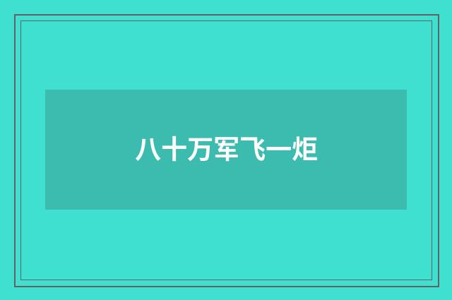 八十万军飞一炬