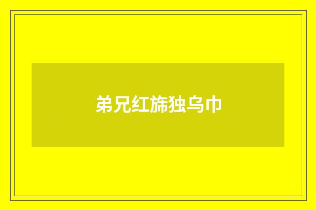 弟兄红旆独乌巾