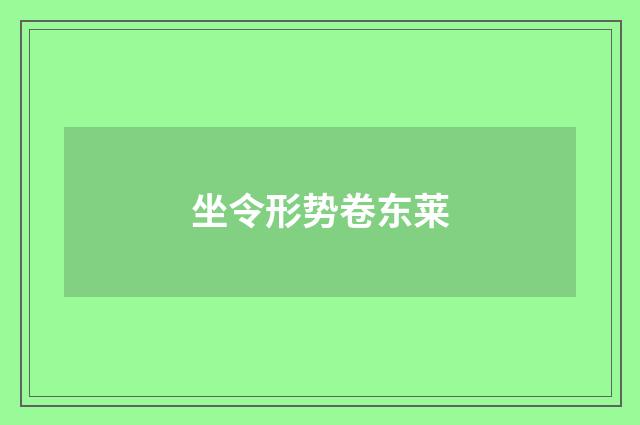 坐令形势卷东莱