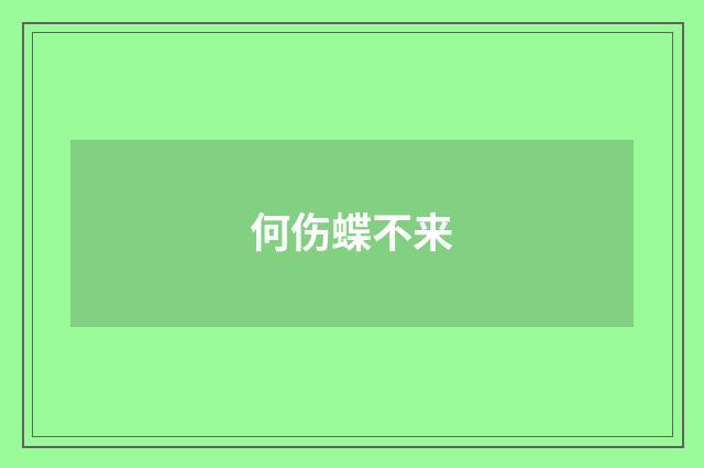 何伤蝶不来