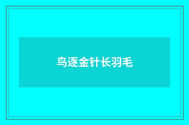 鸟逐金针长羽毛