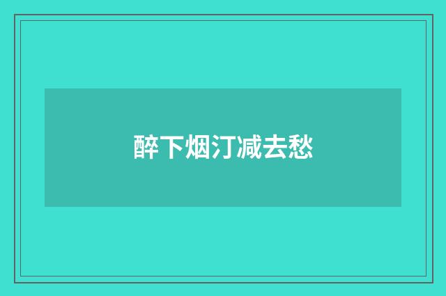 醉下烟汀减去愁