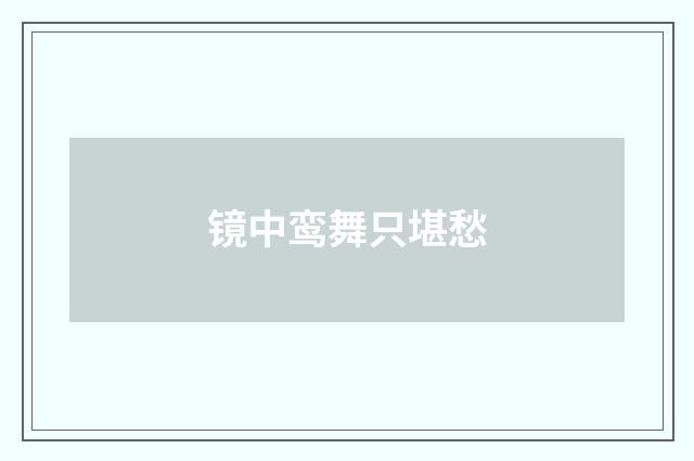 镜中鸾舞只堪愁