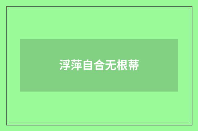 浮萍自合无根蒂
