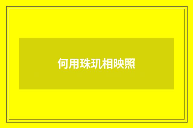 何用珠玑相映照