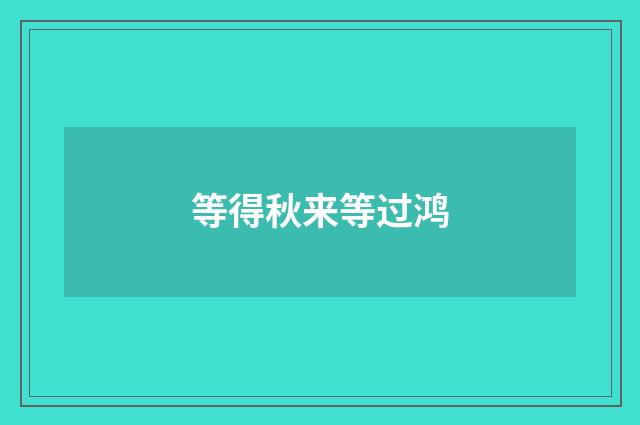 等得秋来等过鸿