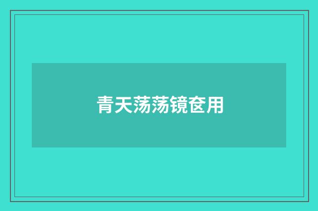 青天荡荡镜奁用