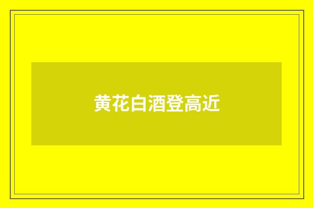 黄花白酒登高近