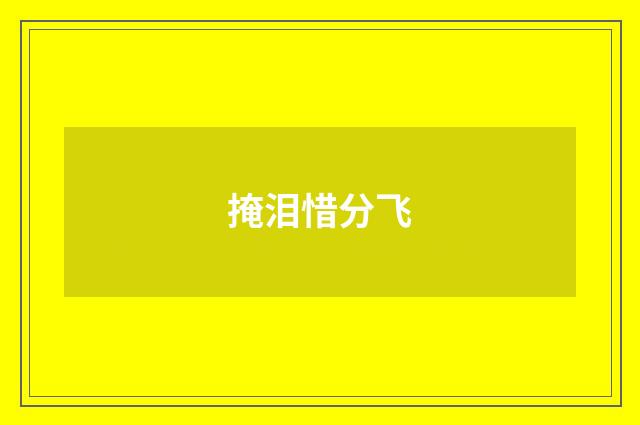 掩泪惜分飞