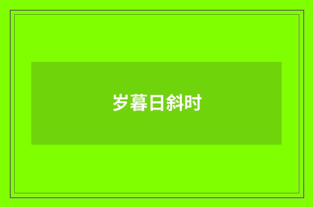 岁暮日斜时