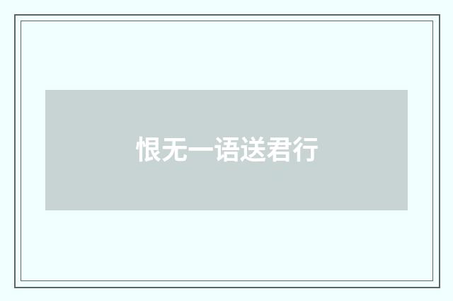 恨无一语送君行