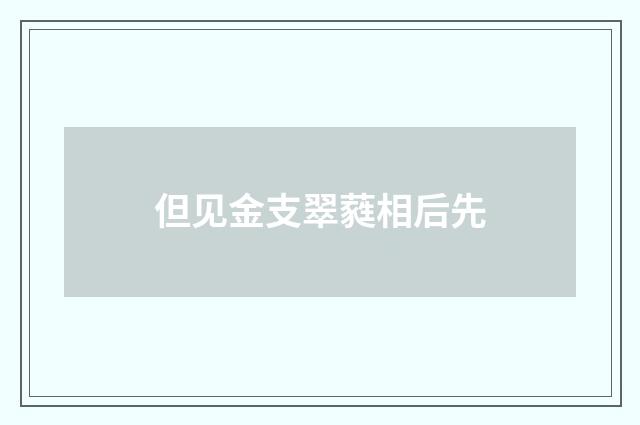 但见金支翠蕤相后先