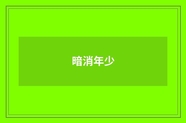 暗消年少